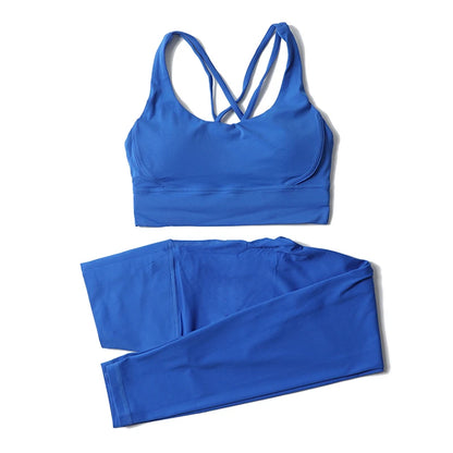 2-Piece Nylon Yoga & Gym Fitness Set