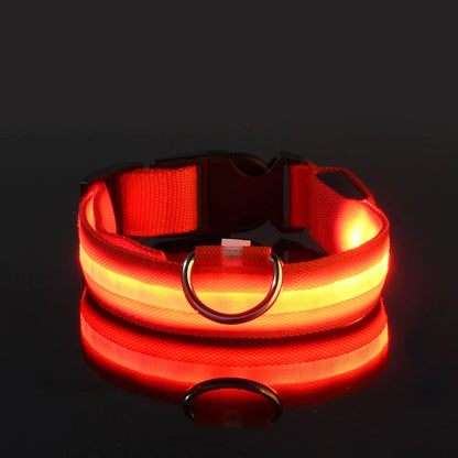 LED Glow-in-the-Dark Nylon Dog Leash