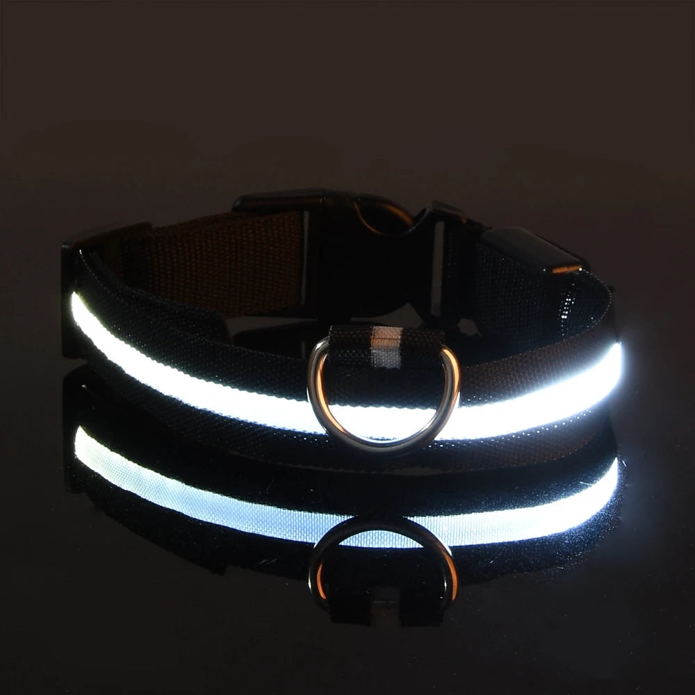 LED Glow-in-the-Dark Nylon Dog Leash