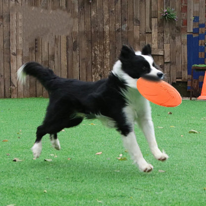 Interactive Silicone Flying Saucer