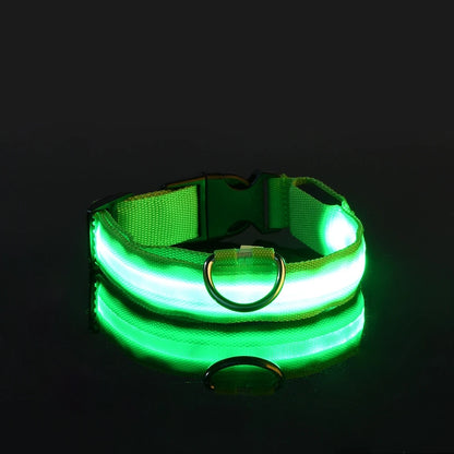LED Glow-in-the-Dark Nylon Dog Leash