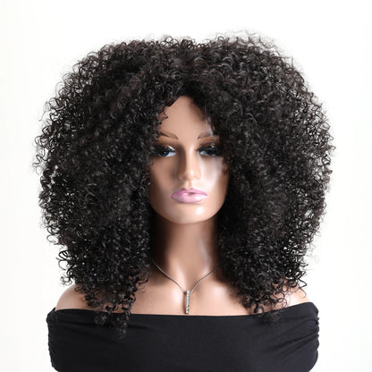 Afro Kinky Curly Synthetic Wig with Bangs