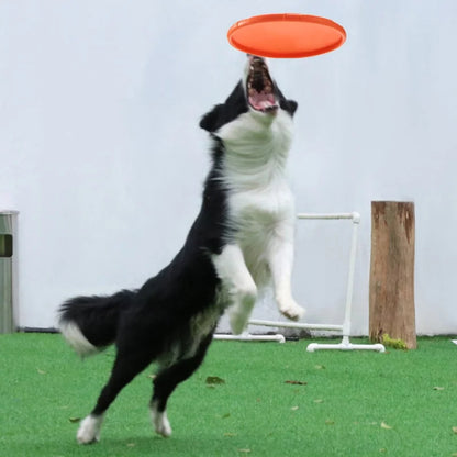 Interactive Silicone Flying Saucer