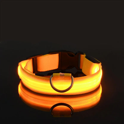 LED Glow-in-the-Dark Nylon Dog Leash