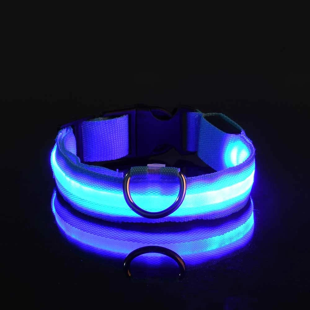 LED Glow-in-the-Dark Nylon Dog Leash
