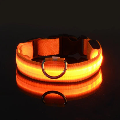 LED Glow-in-the-Dark Nylon Dog Leash