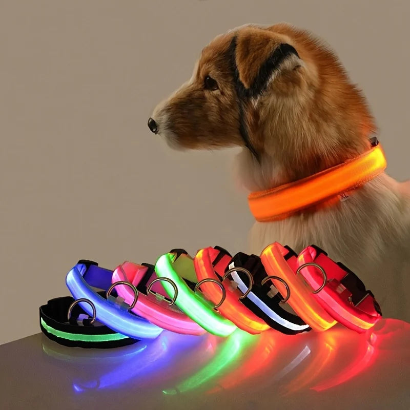 LED Glow-in-the-Dark Nylon Dog Leash