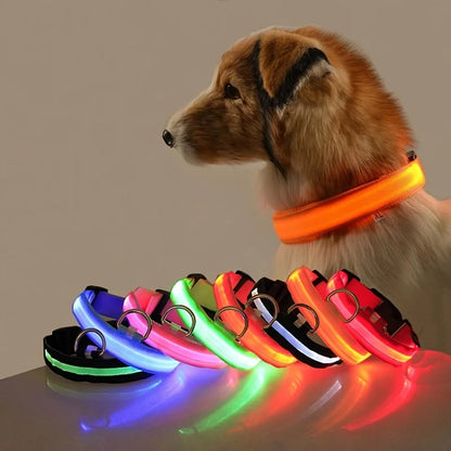 LED Glow-in-the-Dark Nylon Dog Leash