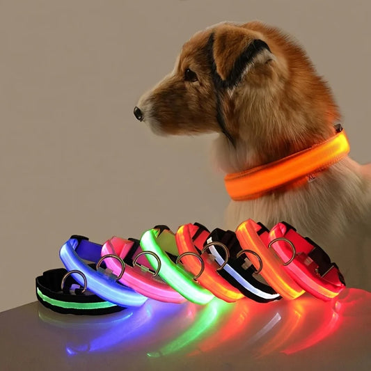 LED Glow-in-the-Dark Nylon Dog Leash