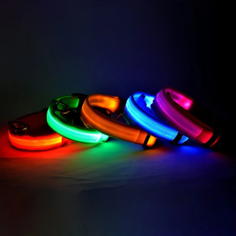 LED Glow-in-the-Dark Nylon Dog Leash