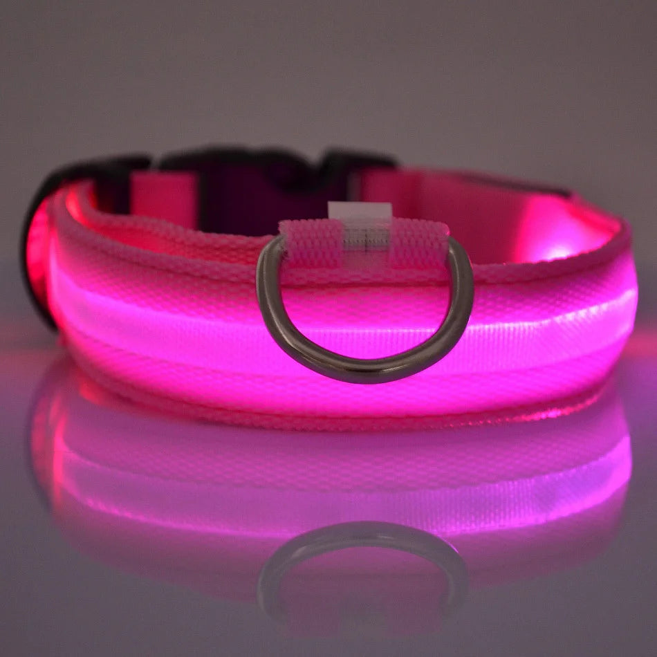 LED Glow-in-the-Dark Nylon Dog Leash
