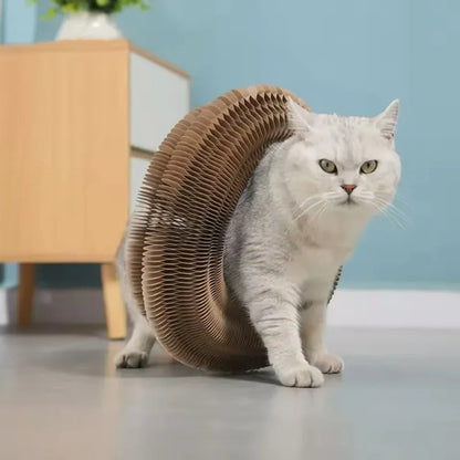 Magic Cat Scratch Board with Ball