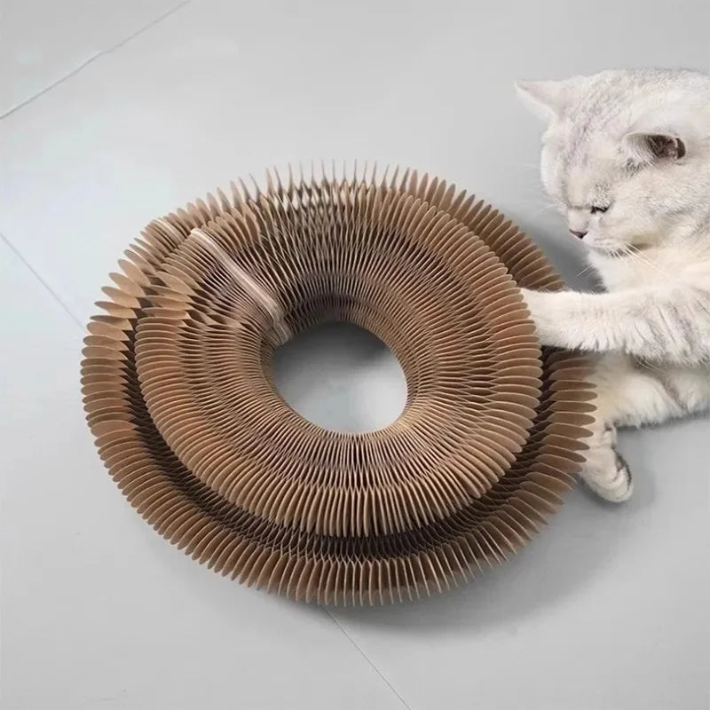 Magic Cat Scratch Board with Ball