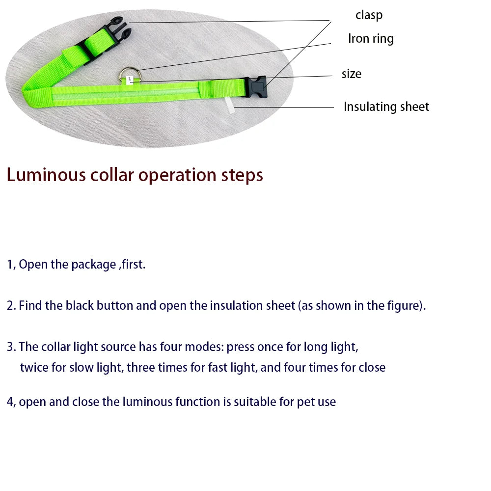 LED Glow-in-the-Dark Nylon Dog Leash