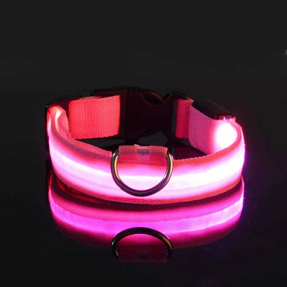 LED Glow-in-the-Dark Nylon Dog Leash