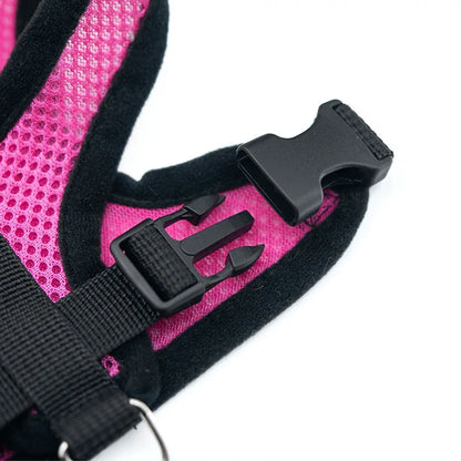 Breathable Dog & Cat Chest Harness with Leash