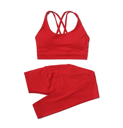 2-Piece Nylon Yoga & Gym Fitness Set
