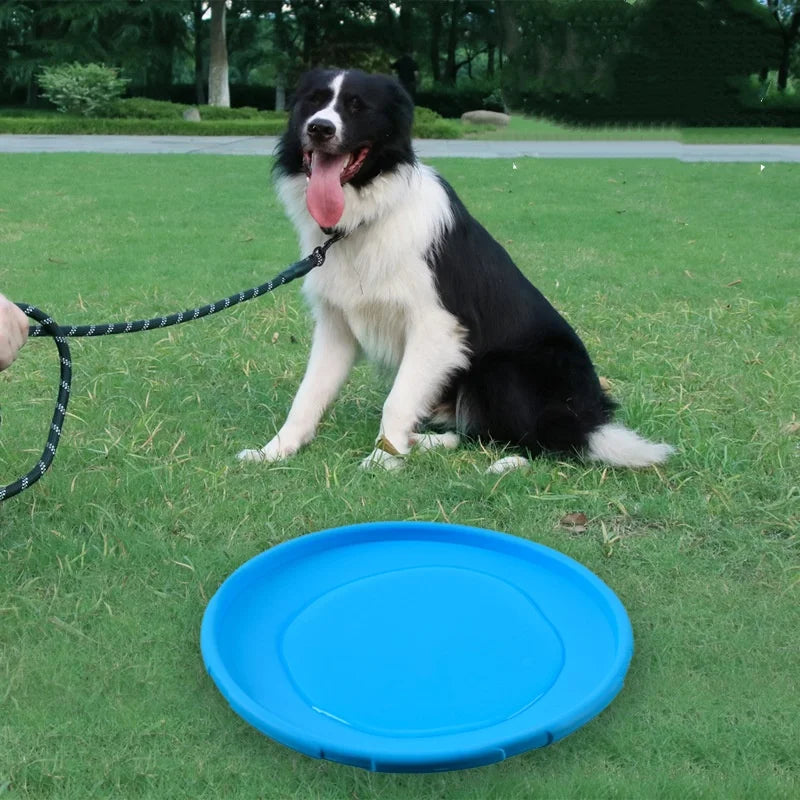Interactive Silicone Flying Saucer